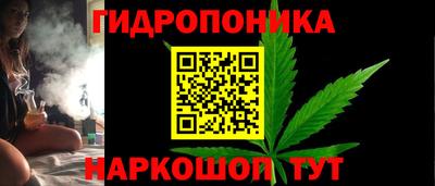 прущие крисы Будённовск