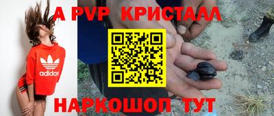 прущие крисы Будённовск