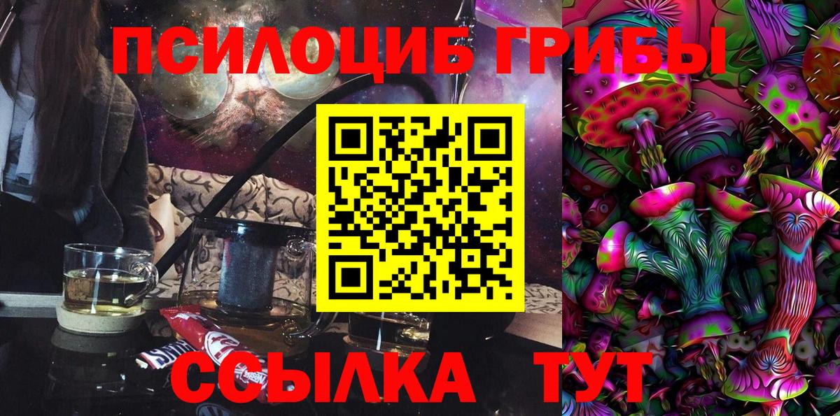 Псилоцибиновые грибы прущие грибы Саянск