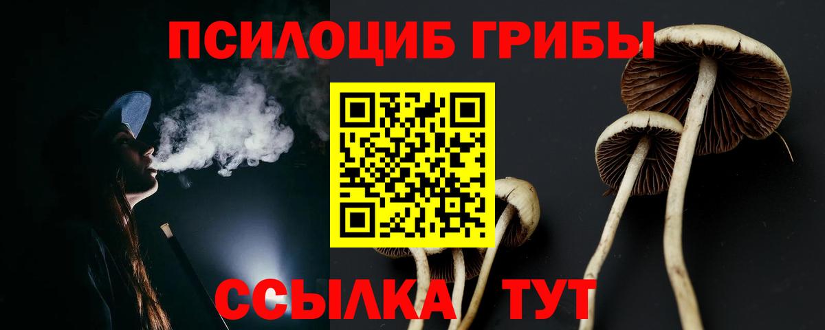 Псилоцибиновые грибы мицелий  Вход с VPN  Саянск  Галлюциногенные грибы ЛСД 